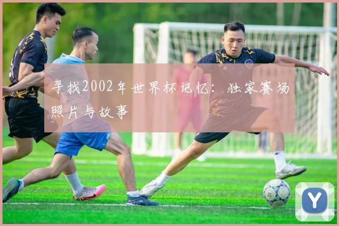 寻找2002年世界杯记忆：独家赛场照片与故事