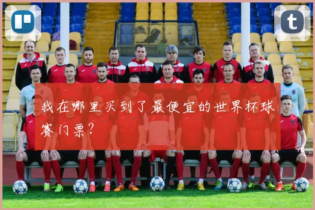 我在哪里买到了最便宜的世界杯球赛门票?