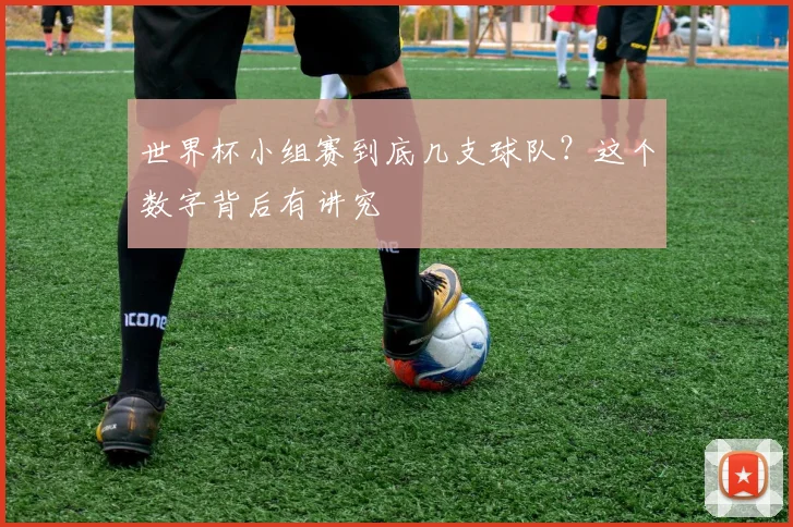 世界杯小组赛到底几支球队?这个数字背后有讲究